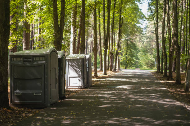 How Our Tree Care Process Works  in  Key Center, WA
